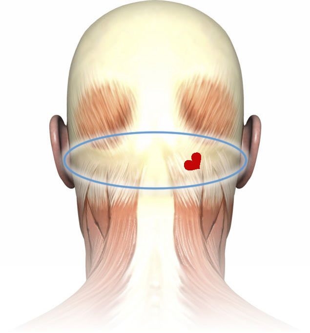 Lump On Back Of Skull