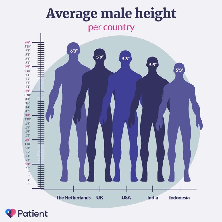 What's the average height for men? Patient