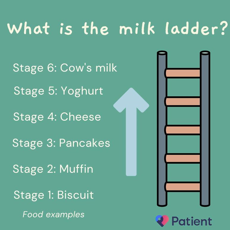 Milk ladder graphic