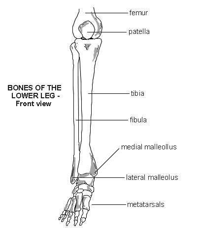 Leg Bone Diagram / Broken Bones Special Effect Make-up - Horror Made