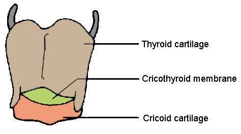 CRICOTHYROIDOTOMY (1)
