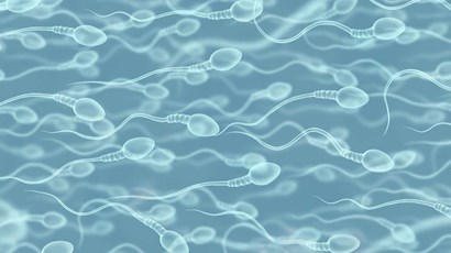 Scientists develop sperm separation method for sex selection