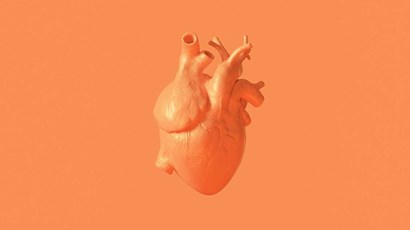 Artificial intelligence could detect irregular heartbeats 