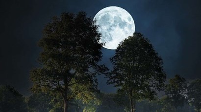 Does the moon really affect us?
