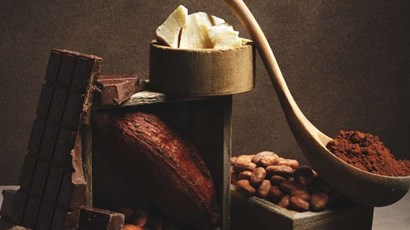7 cacao benefits: is raw chocolate best? 